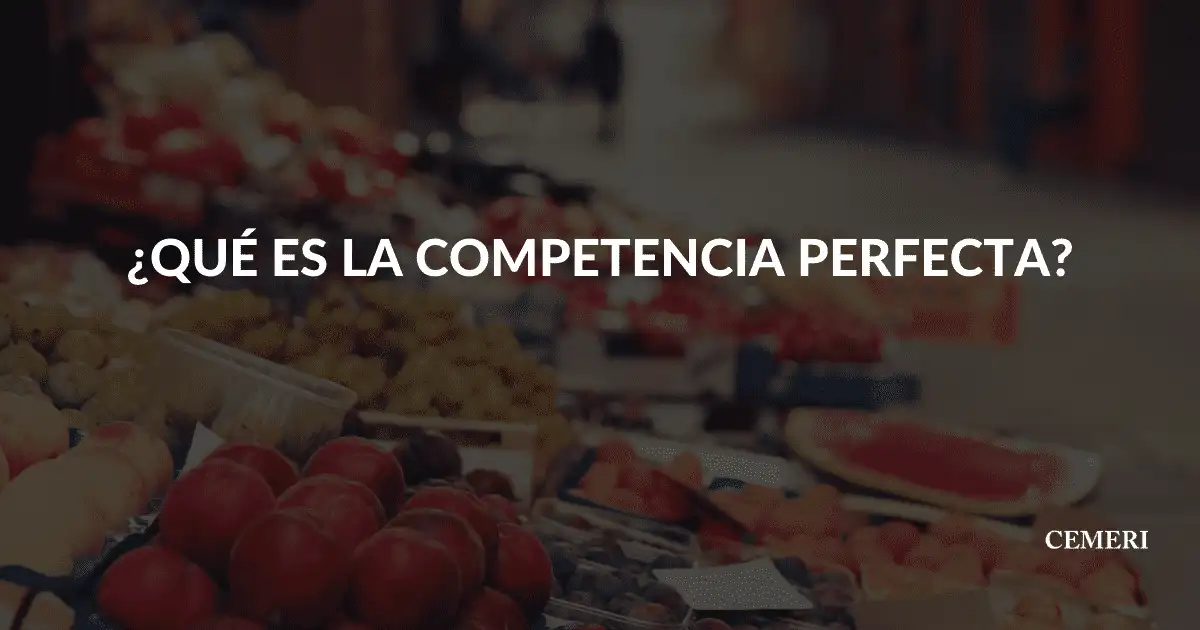 What is perfect competition?